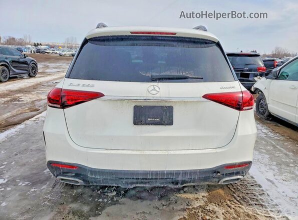4JGFB4KB6LA206556 2020 MERCEDES-BENZ GLE White Вид ззаду