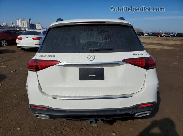 4JGFB4KB7PA896324 2023 MERCEDES-BENZ GLE White Vista trasera