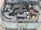 2024 Subaru Crosstrek Limited Green vin: 4S4GUHM64R3717427
