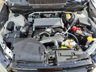 2025 Subaru Ascent Limited Белый vin: 4S4WMARD4S3405334