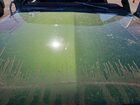 1974 International Scout 80 Green vin: 4S8S0DGD31869