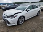 2020 Toyota Avalon White vin: 4T1D21FB8LU018989