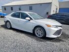 2020 Toyota Camry Xle White vin: 4T1F11BK4LU010972