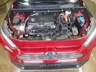 2023 Toyota Rav4 Limited Red vin: 4T3D6RFV7PU132153