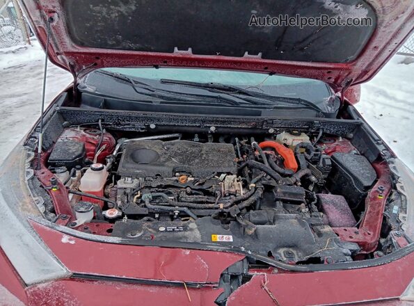 4T3D6RFV9MU049545 2021 TOYOTA LIMITED Red Սալոնի հետևի տեսք