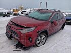 2021 Toyota Rav4 Limited Red vin: 4T3D6RFV9MU049545