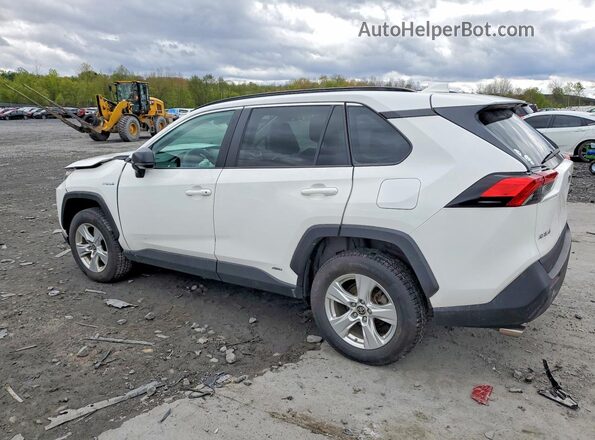 4T3LWRFV2MU043484 2021 TOYOTA RAV4 White Rear left