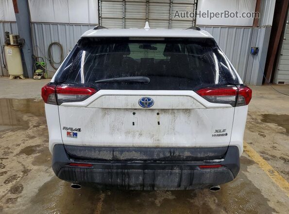 4T3R6RFV3MU013114 2021 TOYOTA RAV4 Белый Вид сзади