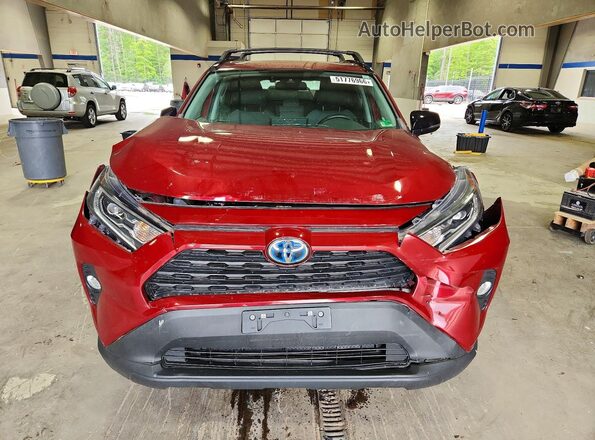 4T3RWRFV0MU013796 2021 TOYOTA RAV4 Бордовый Вид спереди