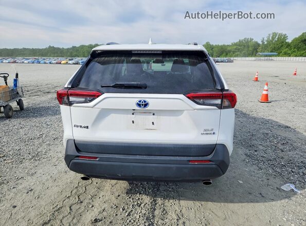 4T3RWRFV2MU021639 2021 TOYOTA RAV4 Белый Вид сзади