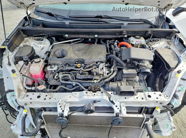 4T3RWRFV2MU021639 2021 TOYOTA RAV4 Белый Вид задней части салона