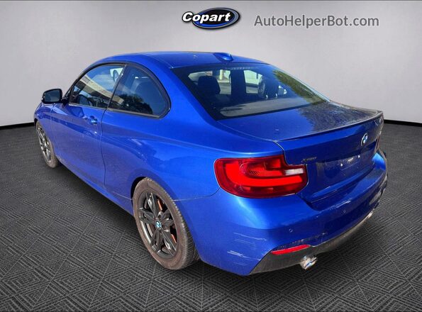 WBA1J9C53GV371709 2016 BMW M2 Blue Trasero derecho