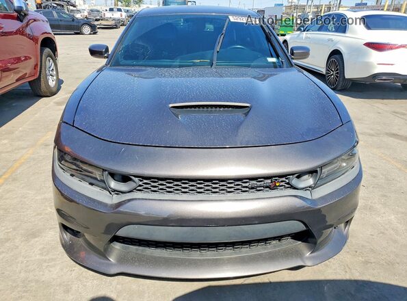 2C3CDXGJ6KH564036 2019 DODGE CHARGER Серый Вид сзади