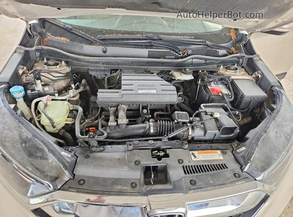 5J6RW2H56HL025667 2017 HONDA CR-V Желто-коричневый Вид наклейки с VIN-кодом