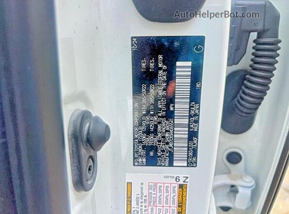 JTJMB7CX5R4065541 2024 LEXUS LX Белый Вид задней части салона
