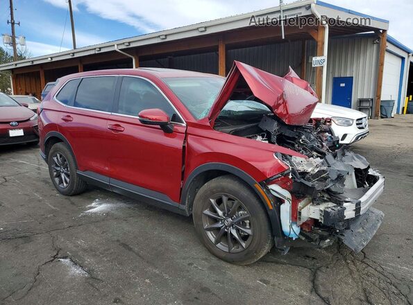 2HKRS4H70TH409567 2026 HONDA CR-V Maroon Դիմացի տեսք