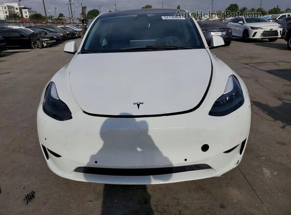 7SAYGDED1RF193049 2024 TESLA MODEL White Rear view