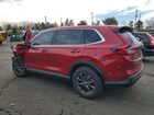 2026 Honda Cr-v Exl Maroon vin: 2HKRS4H70TH409567
