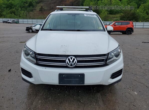WVGSV7AXXHK020198 2017 VOLKSWAGEN TIGUAN Белый Вид сзади