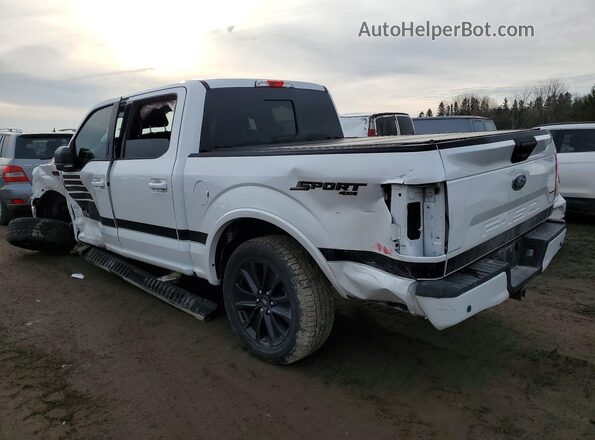 1FTEW1E49KFC35101 2019 FORD F150 Белый Задняя левая четверть