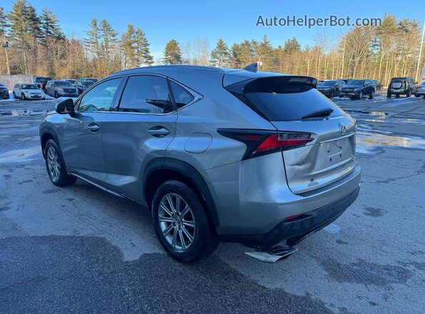 JTJBARBZ5G2095978 2016 LEXUS NX Серый Задняя правая четверть