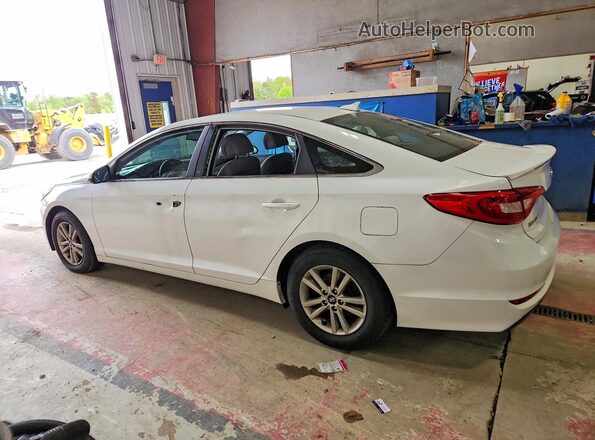 5NPE24AF5GH364597 2016 HYUNDAI SONATA Белый Задняя правая четверть