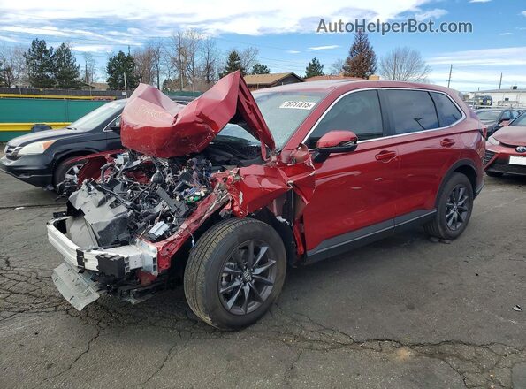 2HKRS4H70TH409567 2026 HONDA CR-V Maroon Հետևի ձախ