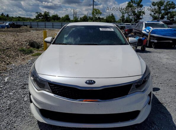 KNAGT4L32G5087431 2016 KIA OPTIMA White Widok z tyłu