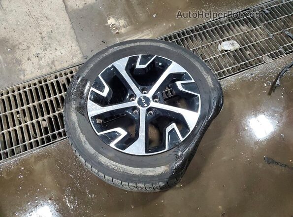 5XYK3CDF5RG163377 2024 KIA SPORTAGE Black Widok naklejki z numerem VIN