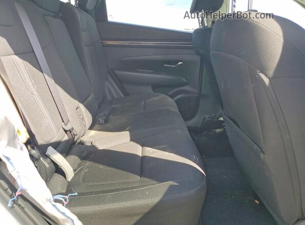 KM8JBCD18RU156520 2024 HYUNDAI TUCSON Белый Вид задней части салона