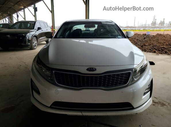 KNAGN4AD2G5099021 2016 KIA OPTIMA Белый Вид сзади