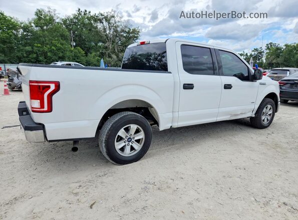 1FTEW1CG5HFB12000 2017 FORD F150 Белый Передняя правая четверть
