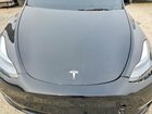 2025 Tesla Model Y Черный vin: 7SAYGAEE2SF239064