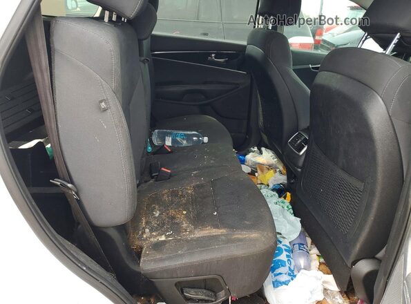 5XYPG4A32HG239825 2017 KIA SORENTO Белый Вид задней части салона