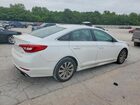2017 Hyundai Sonata Sport White vin: 5NPE34AF2HH565890
