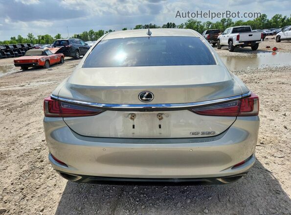 58ABZ1B16KU044160 2019 LEXUS ES Желто-коричневый Вид сзади