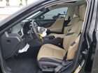 2020 Lexus Es 300h Black vin: 58AD21B18LU009585