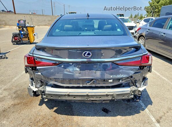 58ADA1C13NU024452 2022 LEXUS ES Серый Вид сзади