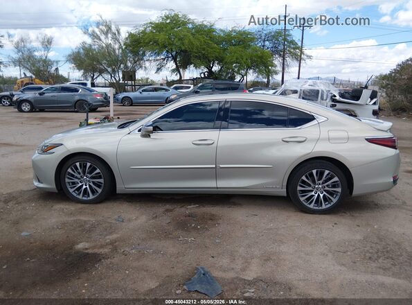 58ADA1C15MU009336 2021 LEXUS ES 300H Beige Widok wnętrza z tyłu