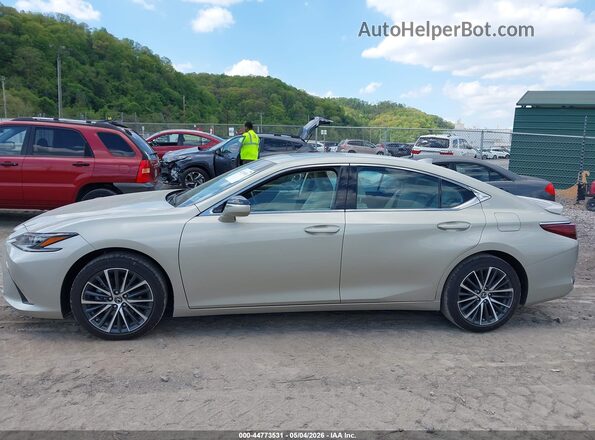 58ADA1C19PU036673 2023 LEXUS ES 300H Beige Vista interior de 360 grados