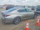 2020 Lexus Es 350 Beige vin: 58ADZ1B11LU060874