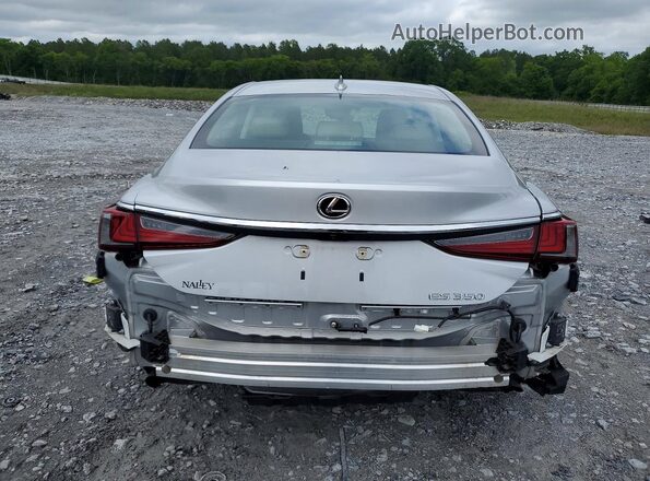 58ADZ1B12LU081040 2020 LEXUS ES Silver Rear view