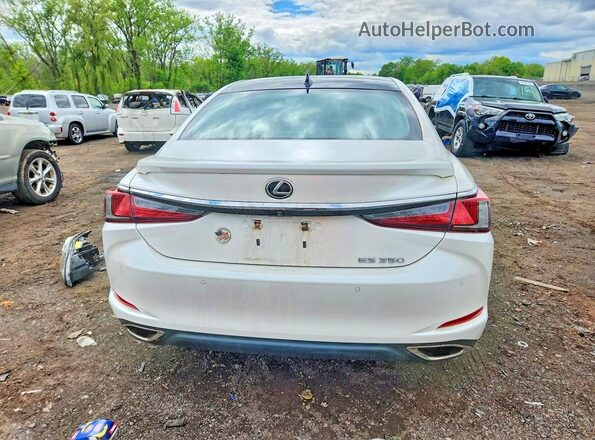 58AEZ1B12LU069460 2020 LEXUS ES White Հետևի տեսք