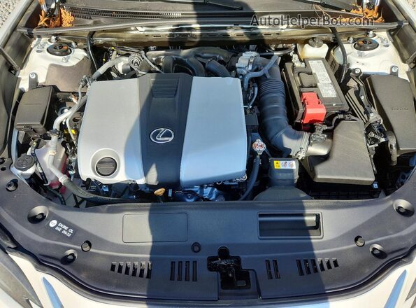 58AFZ1B12SU214905 2025 LEXUS ES Белый Вид задней части салона