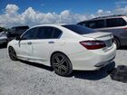 2017 Honda Accord Sport Special Edition Белый vin: 1HGCR2F16HA231331