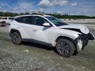2024 Hyundai Tucson Blue Белый vin: KM8JBCD18RU156520