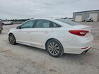 2017 Hyundai Sonata Sport White vin: 5NPE34AF2HH565890