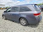 2017 Honda Odyssey Exl Gray vin: 5FNRL5H62HB014676