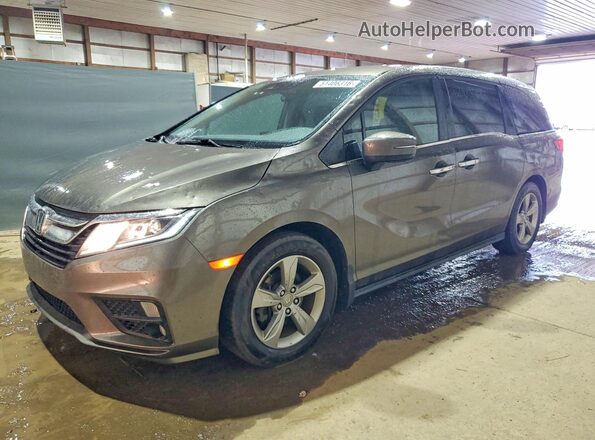 5FNRL6H50KB080776 2019 HONDA ODYSSEY Желто-коричневый Передняя левая четверть
