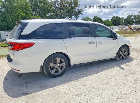 5FNRL6H52MB032893 2021 HONDA ODYSSEY White Trasero derecho